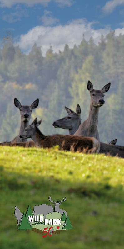 Wildpark Silz